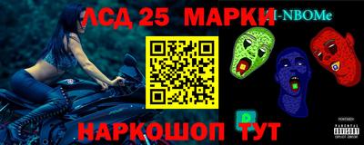 a pvp Кингисепп