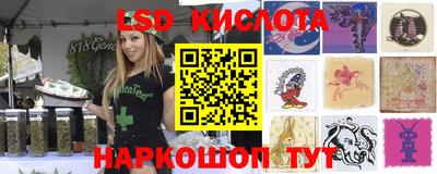 мдпв Кимры