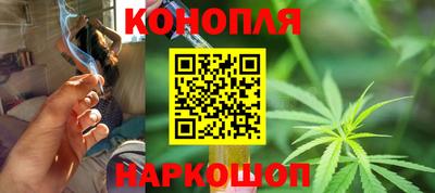 a pvp Кингисепп